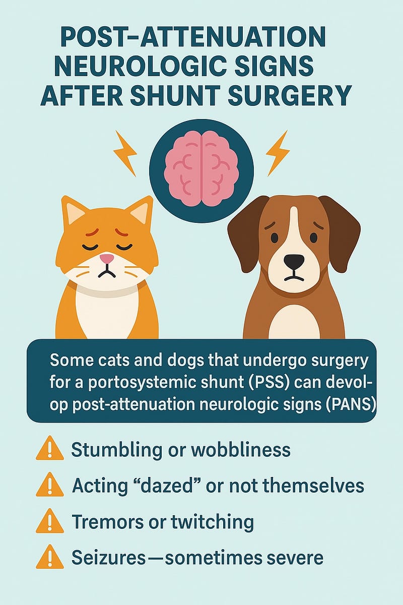 Post-Attenuation Neurologic Signs in Cats and Dogs Explained
